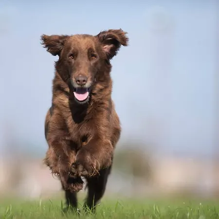 Εξοχικό σπίτι Al Vecchio Confine