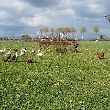 Al Vecchio Confine Cervignano del Friuli
