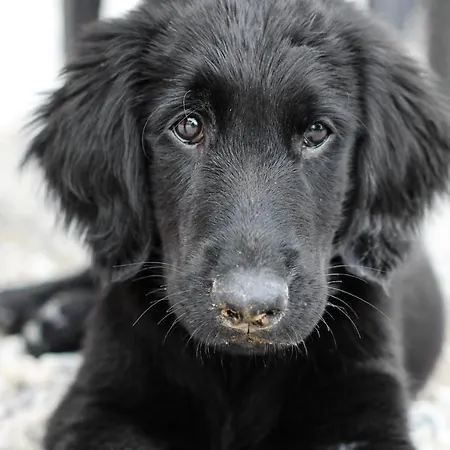 Casa di campagna Al Vecchio Confine *