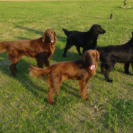 Casa di campagna Al Vecchio Confine *