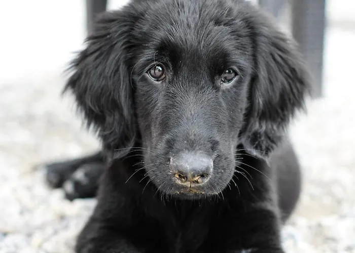 Hétvégi ház Al Vecchio Confine *