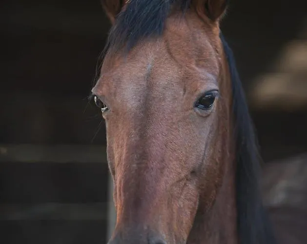 Al Vecchio Confine Hétvégi ház