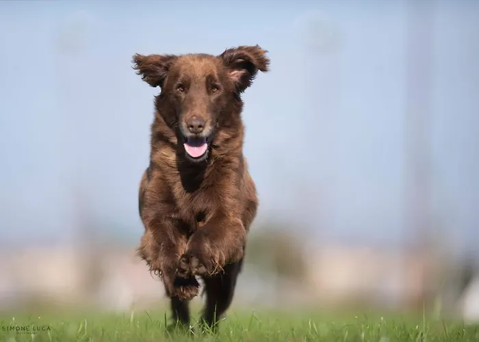 Hétvégi ház Al Vecchio Confine