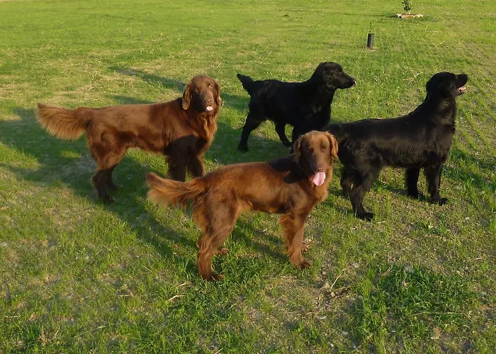 Hétvégi ház Al Vecchio Confine *