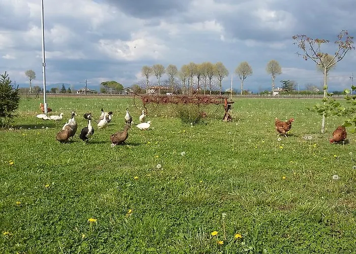 Al Vecchio Confine Cervignano del Friuli